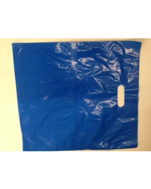 Boutique Style Shopping Bags 9 Inches x 12 Inches 500pcs / Case