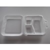 Hinged Lid Containers