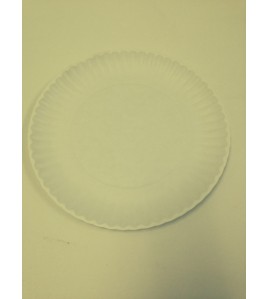 Eilat: 9 Inch Paper Plates 100 Pcs