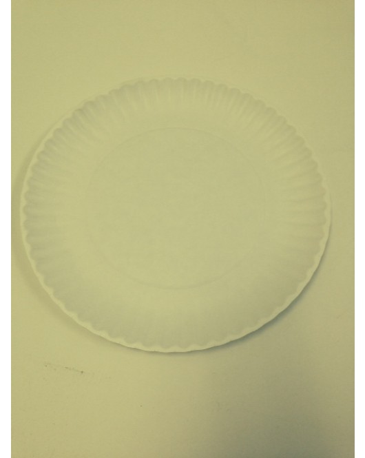 Eilat: 9 Inch Paper Plates 100 Pcs