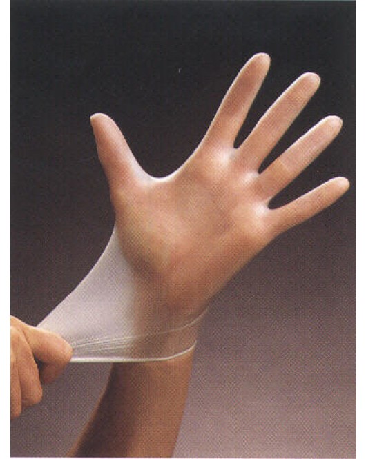 H-Ray: Powder Free Vinyl Gloves 100 per / Box